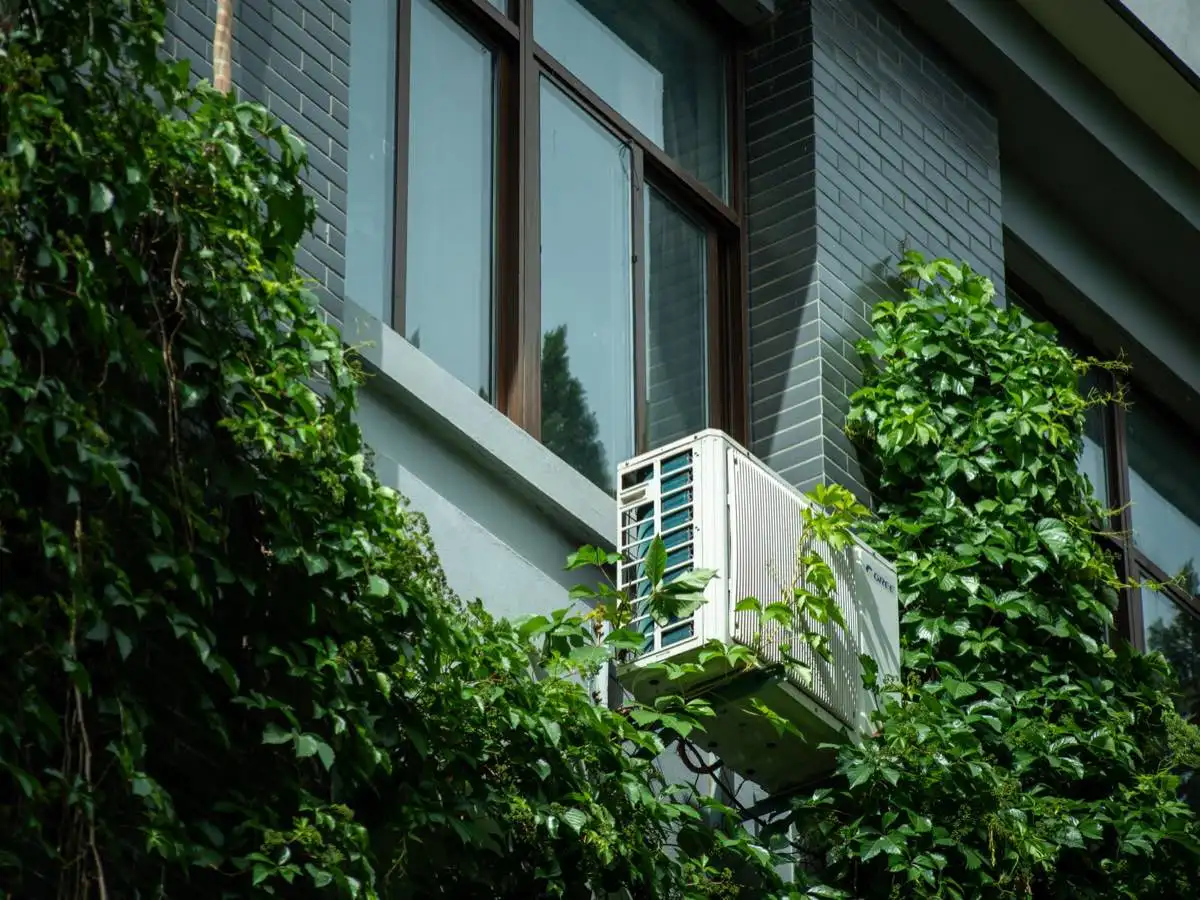 Energy-Efficient Windows in Clearwater, FL
